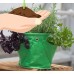 BloemBagz Mini Herb Hanging Planter Grow Bag 1.5 Gallon Honey Dew   567737362